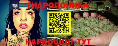 ECSTASY Тулун