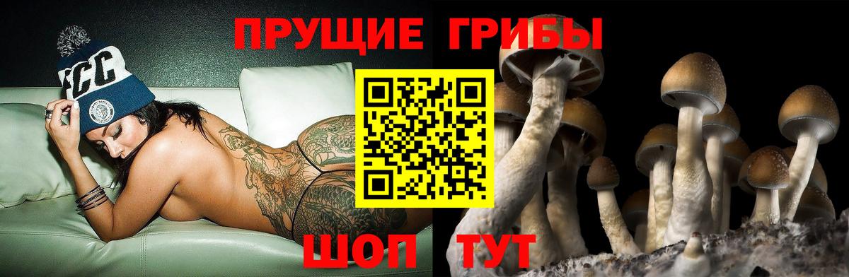 Галлюциногенные грибы Cubensis  Вход с VPN  Нижний Тагил  Галлюциногенные грибы прущие грибы 