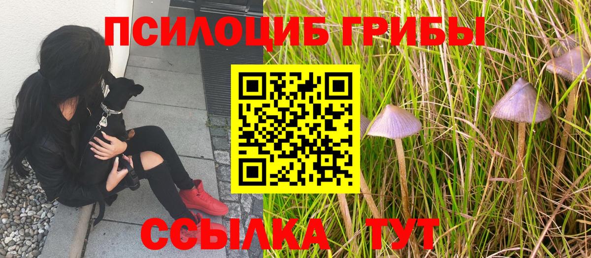 Псилоцибиновые грибы MAGIC MUSHROOMS Нижний Тагил